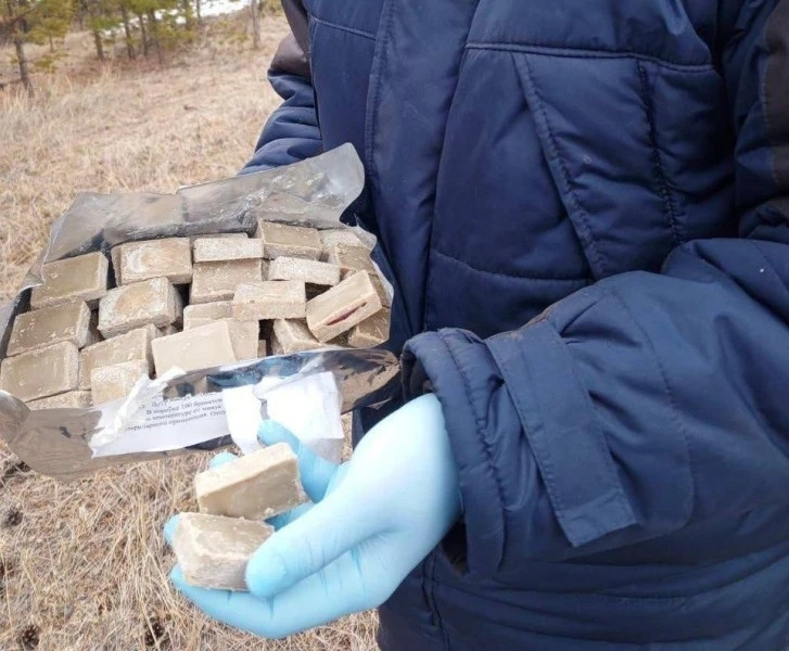 Человек в перчатках держит пакет кубиков