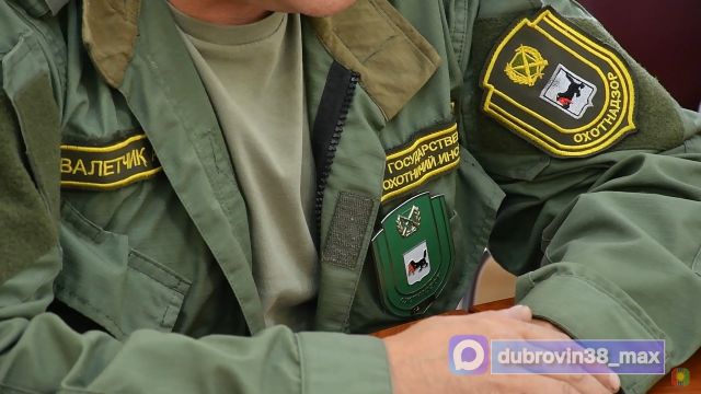 Режим повышенной готовности ввели в Братске из-за выхода медведей к жилым районам