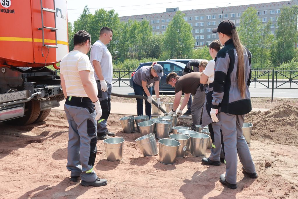 130 елей и сосен высадят до конца недели на Курчатова в Братске