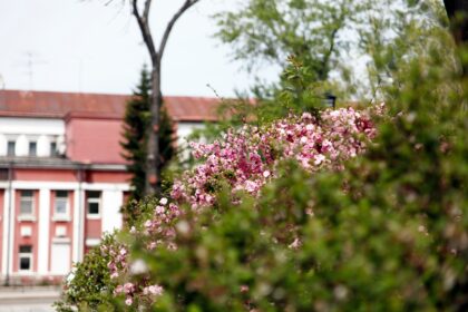 16 июня в Братске ожидается солнечная погода и +22°C