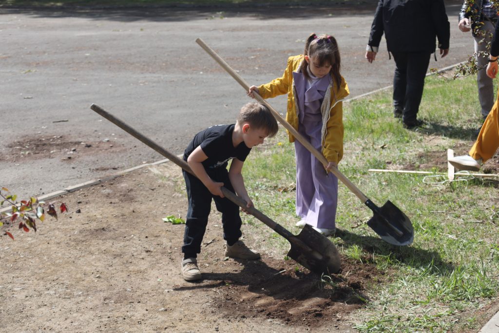 Дети копают землю лопатами на улице.