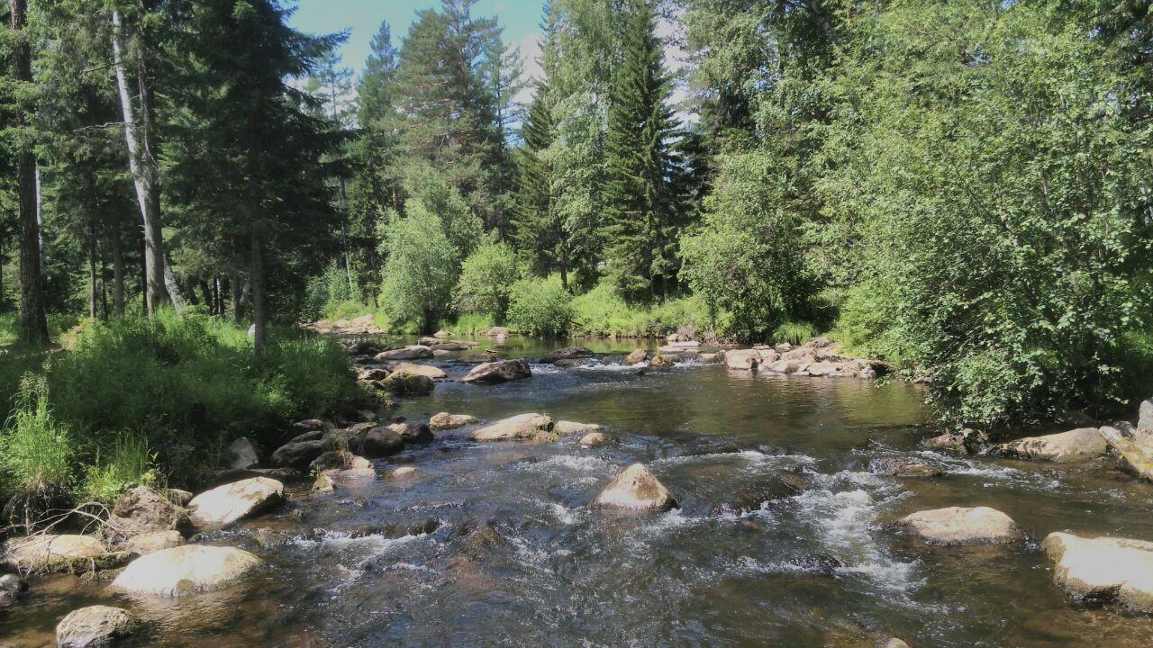 В реку Вихорева произошел сброс неизвестного вещества