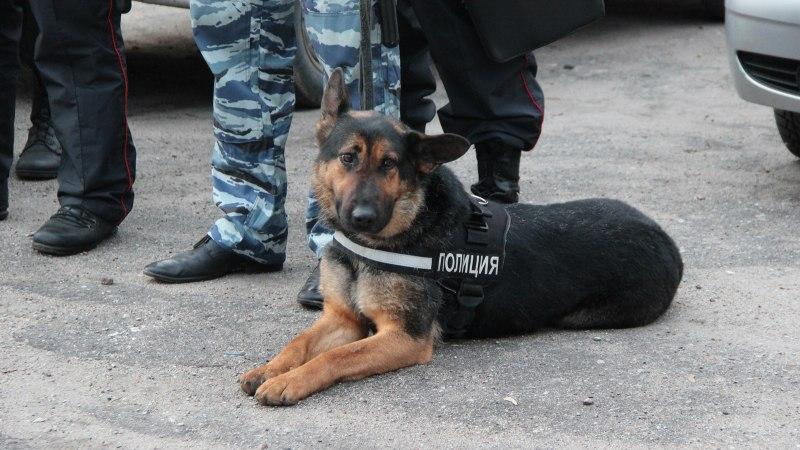 Полиция перекрыла межрегиональный канал поставки наркотиков в Иркутскую область