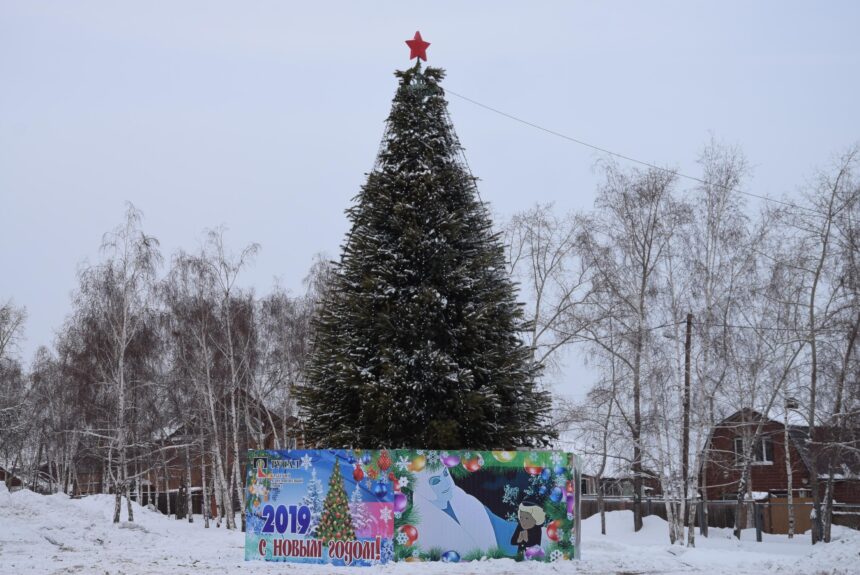 В парке Металлургов в Братске началось возведение ледового городка