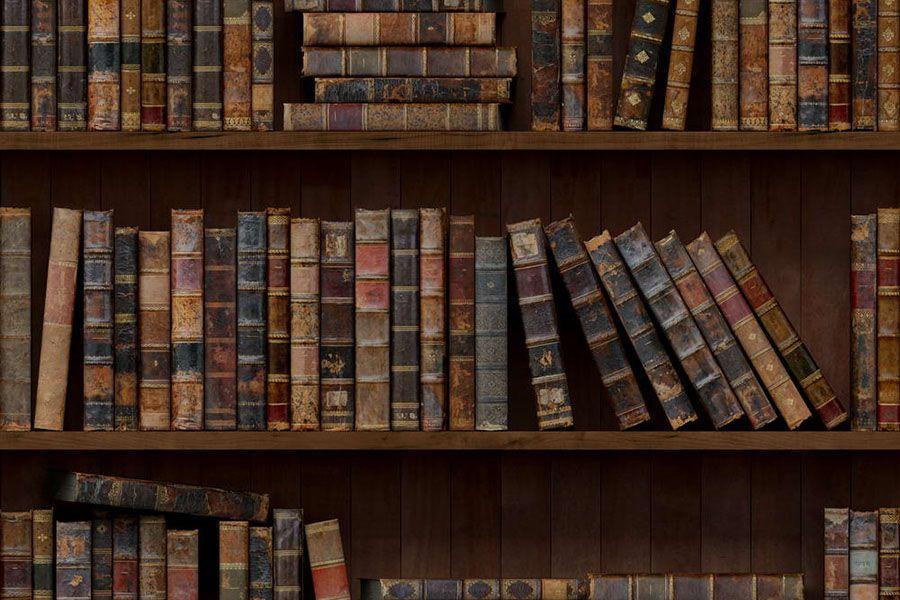 Библиотека в Братске собирает книги для СИЗО и приютов