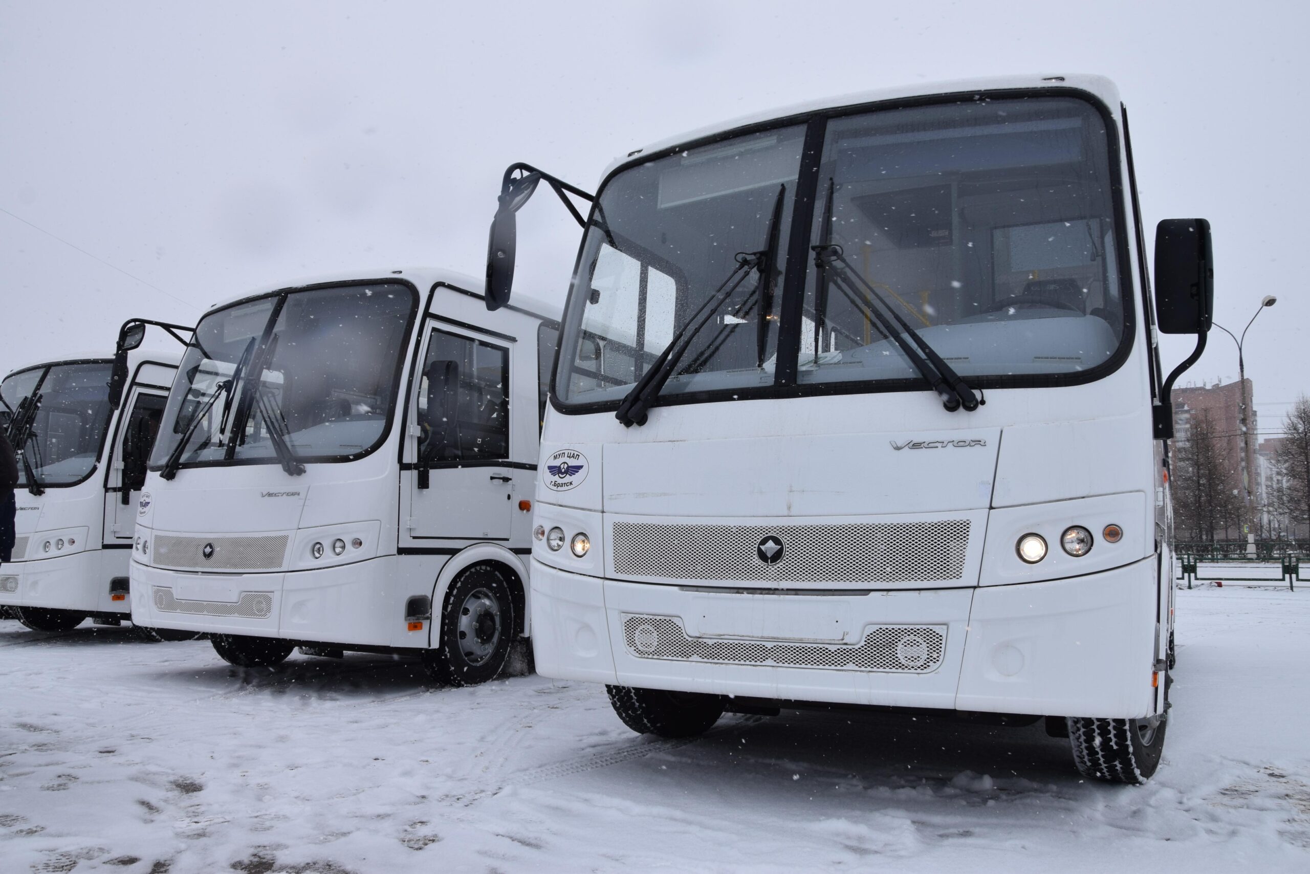 Почти 30 новых автобусов поступят в Братск в ближайшие дни — Твой Братск