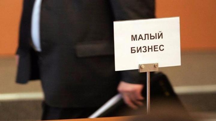 10 миллионов рублей выделят предпринимателям в этом году