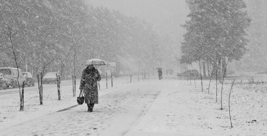 Очередной урок зимы: ветер и снег продолжаются