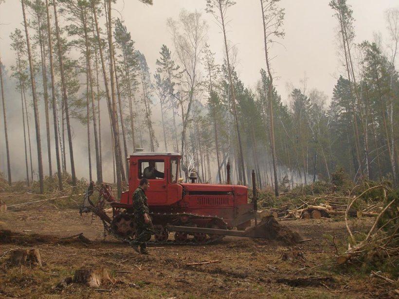 Три лесных пожара произошло в Приангарье 22 апреля