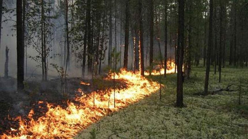 За минувшие сутки в Иркутской области ликвидировано 10 пожаров