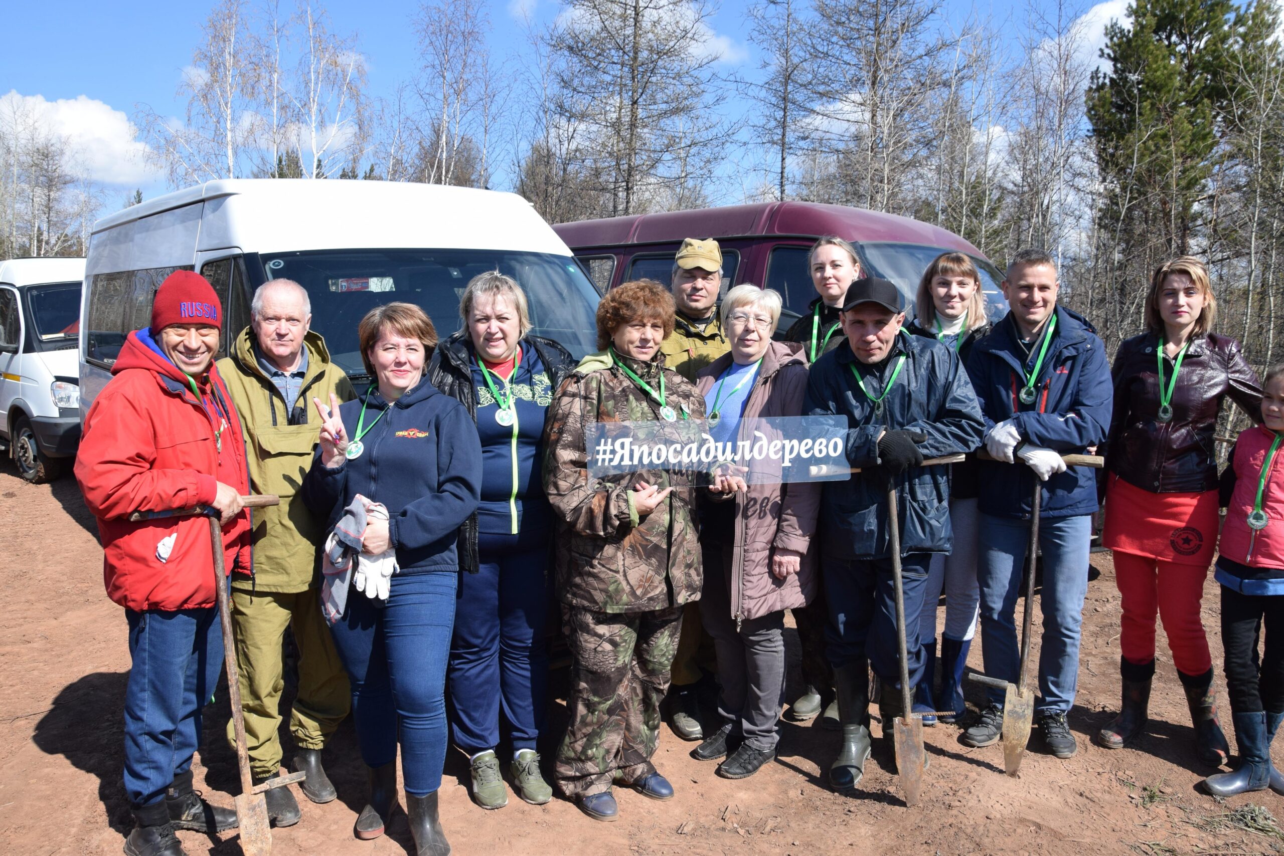 18 тысяч сосен посадили на территории Братского лесничества