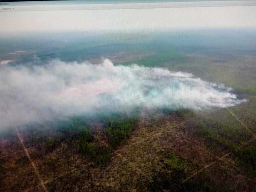68 лесных пожаров произошло в Приангарье с 1 по 5 мая
