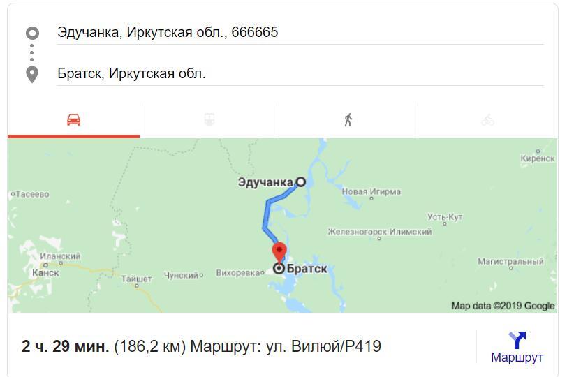 Медведей стали замечать на проезжей части в Братском районе