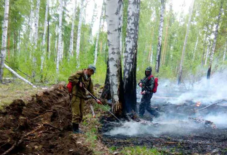 Один пожар находится в локализованном состоянии в Иркутской области утром 6 июня