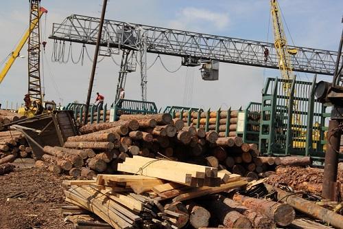 Уголовные дела завели на две фирмы из Братска, что незаконно поставляли лес в Узбекистан