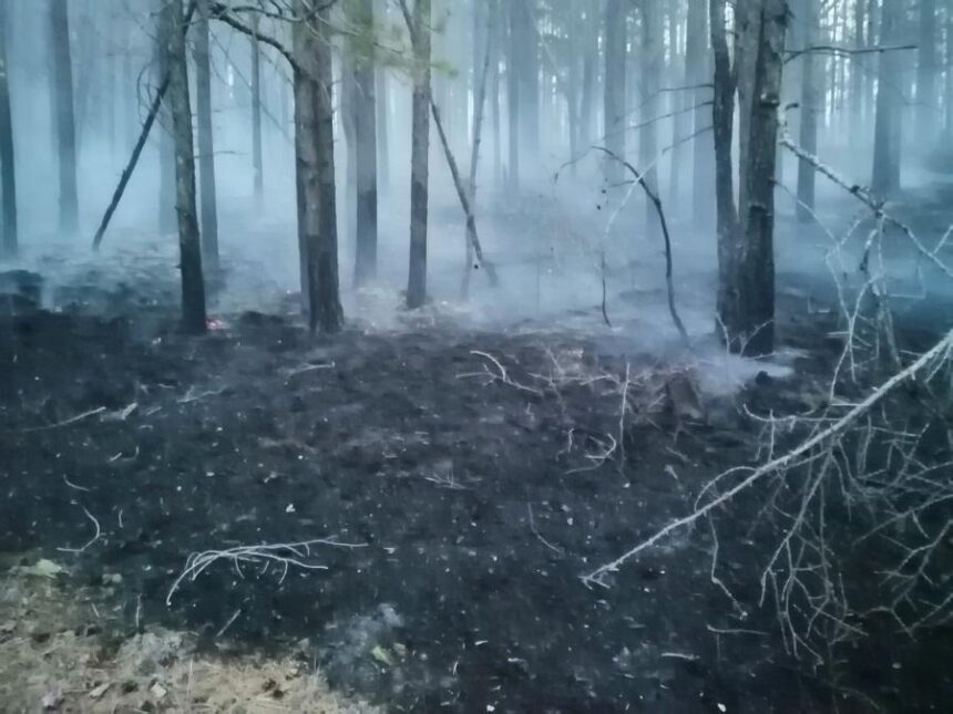 35 населенных пунктов Иркутской области задымлены из-за пожаров