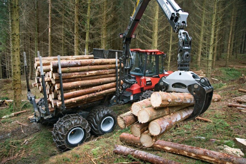 Нарушения в работе трех лесозаготовительных организаций обнаружила прокуратура Падунского района