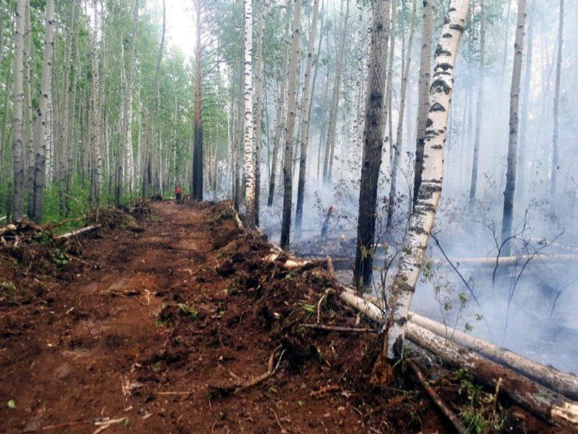 Режим ЧС из-за пожаров действует уже в семи районах Иркутской области