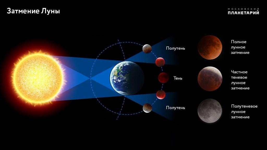 Лунное затмение ожидается в ночь на 11 января 2020 года. Анимация видимости
