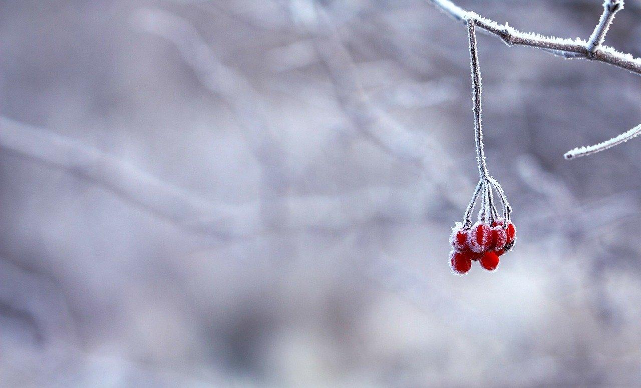 В выходные в Братске будет облачно