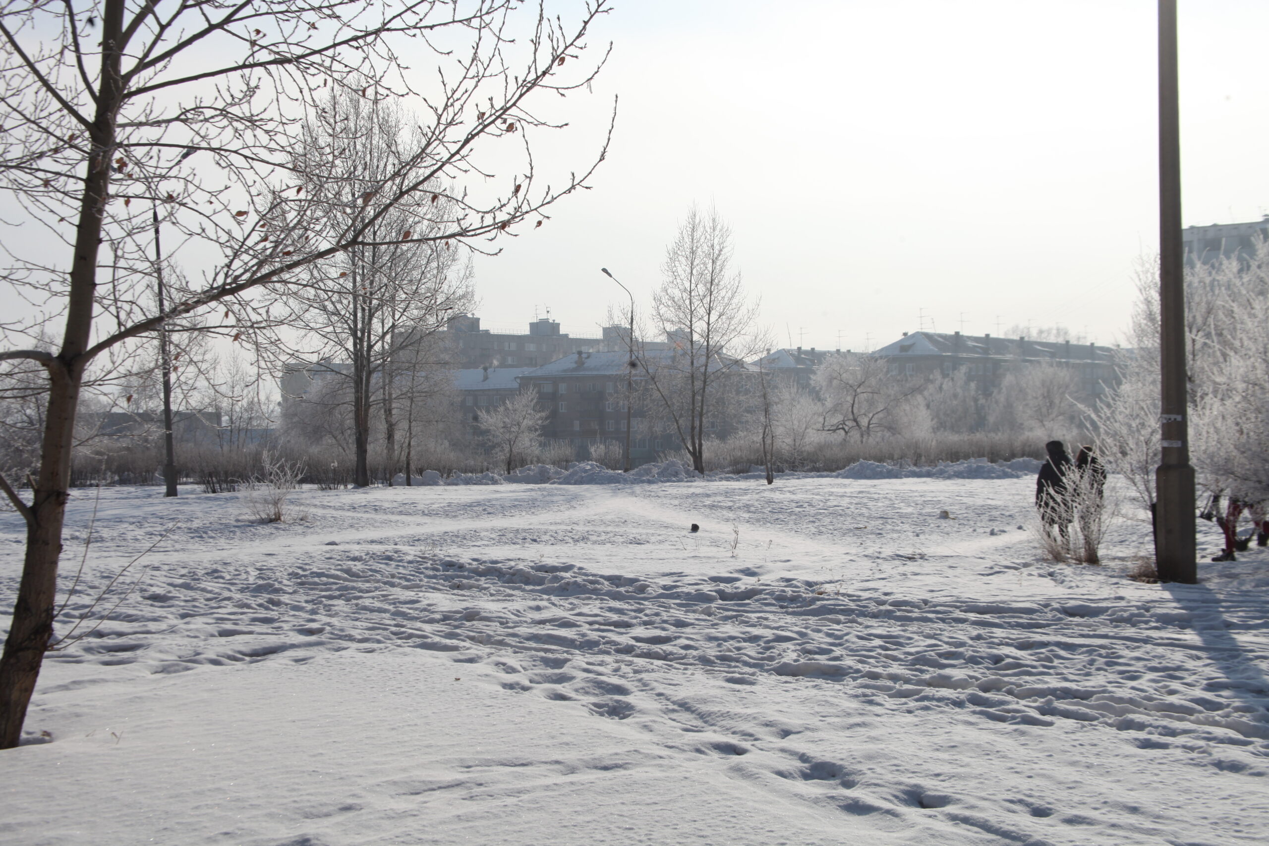 Зону отдыха оформят на воркаут-площадке на улице Космонавтов в Братске