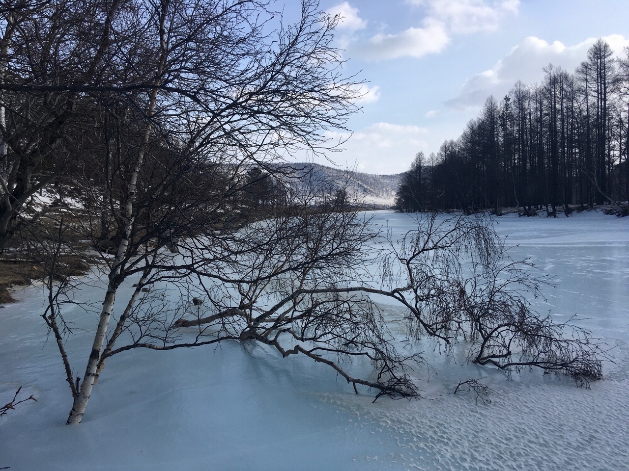 МЧС предупреждает об усилении ветра в Иркутской области
