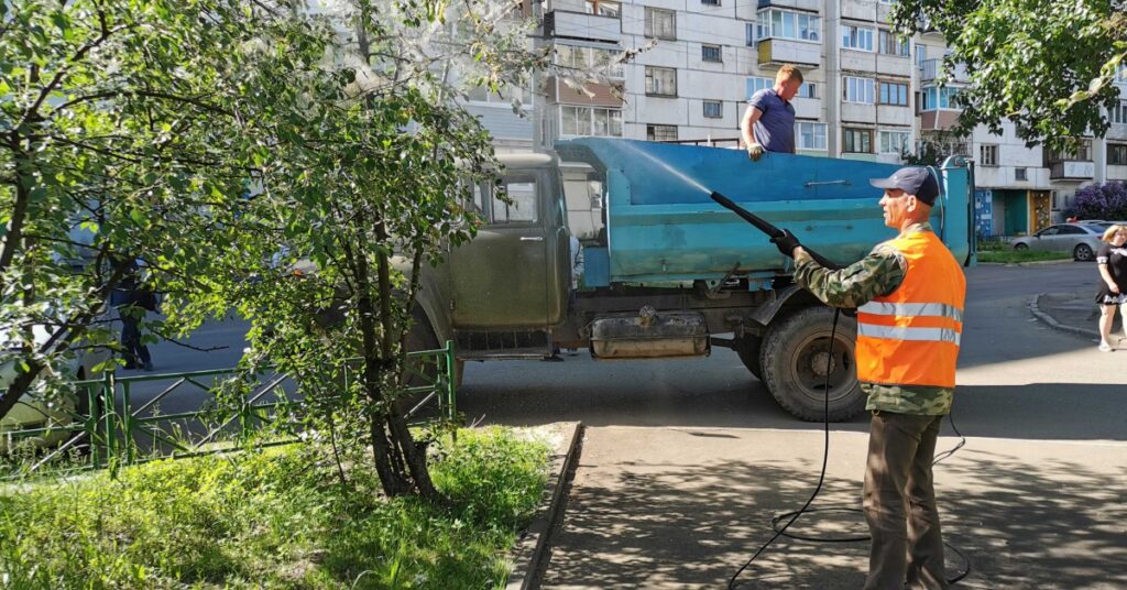 Обработка деревьев от горностаевой моли проводится в Братске