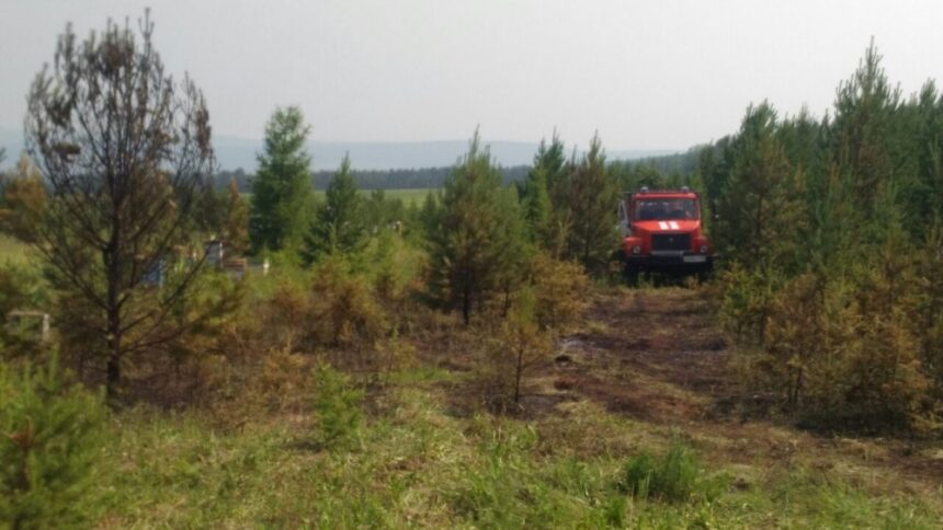 Средние классы пожарной опасности установлены в Братском районе