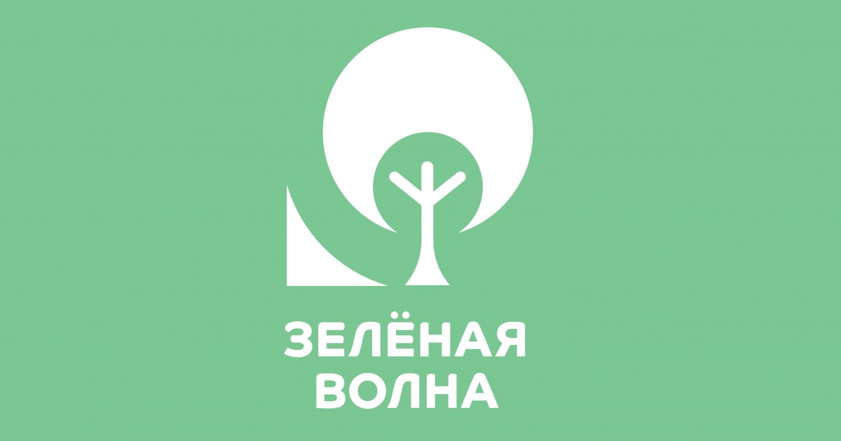 Четыре экологических проекта братчан победили на конкурсе "Зеленая волна"