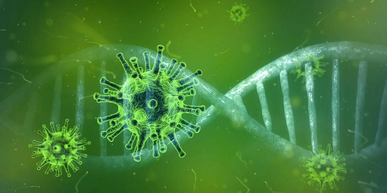 coronavirus-1