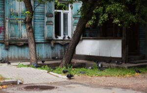 Хорошее за неделю Хорошее за неделю