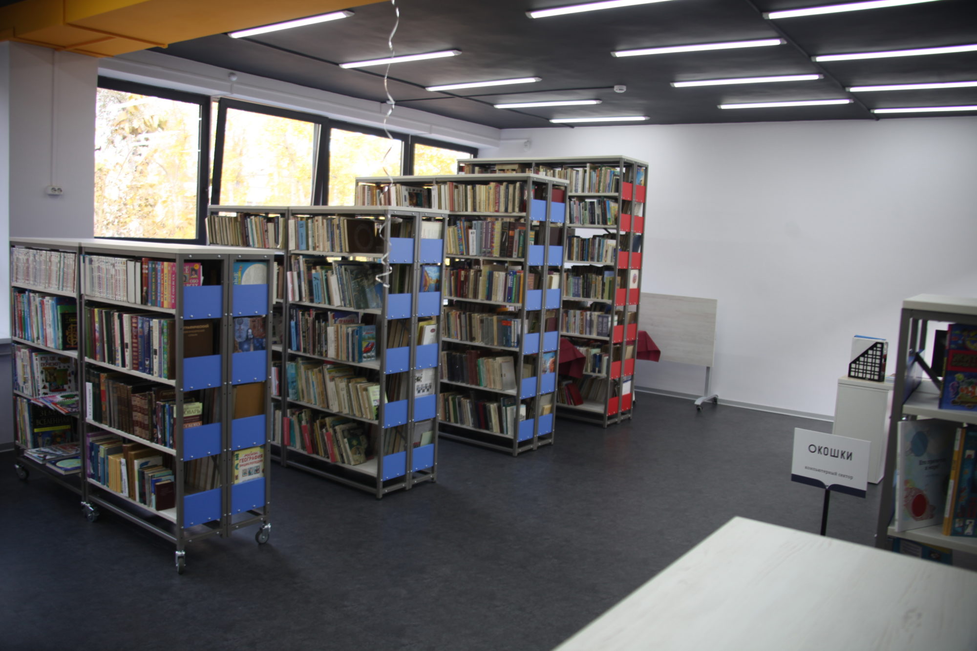 Первую модельную библиотеку открыли в Братске
