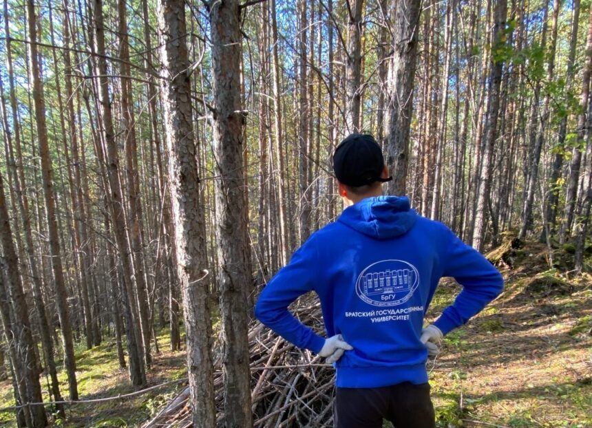Студенты БрГУ очистили лесополосу от валежника и сухостоя в районе Северного Артека