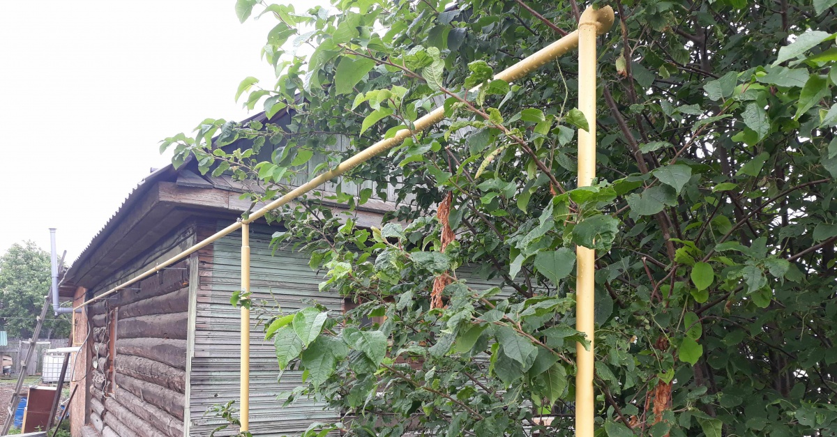 Более 500 домов обеспечены газом в Братске