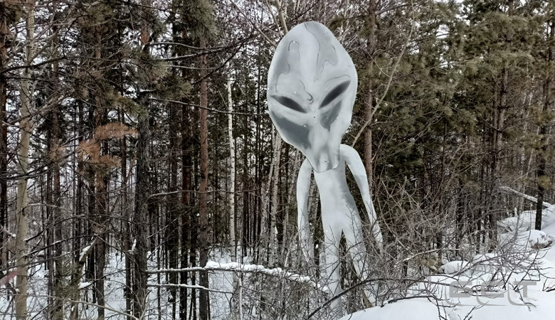 Инопланетянин "посетил" Братск