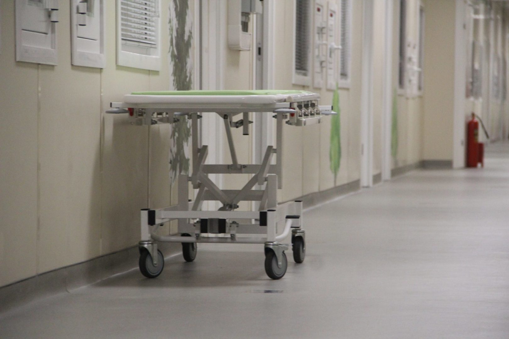 Ни одного нового случая COVID не зарегистрировано в Братске за сутки