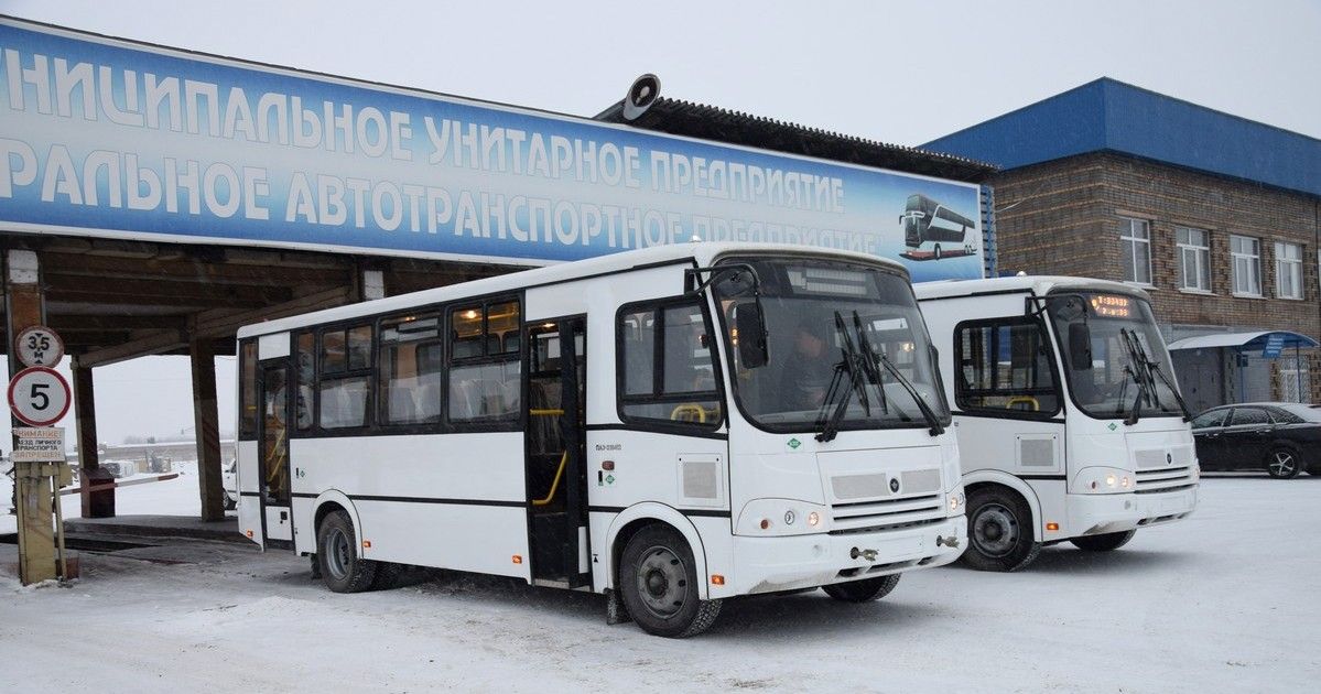 Около 300 единиц общественного транспорта работают в Братске