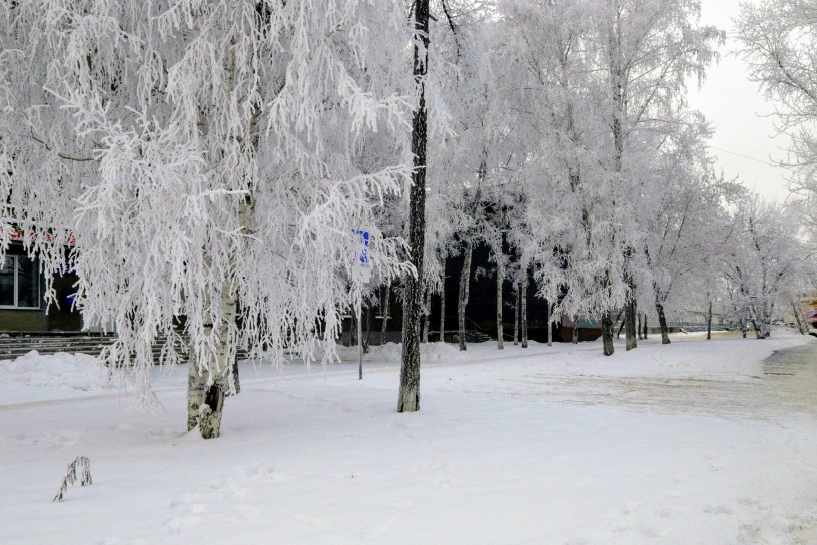 В Братске обсудили вопрос развития предприятий лесной отрасли