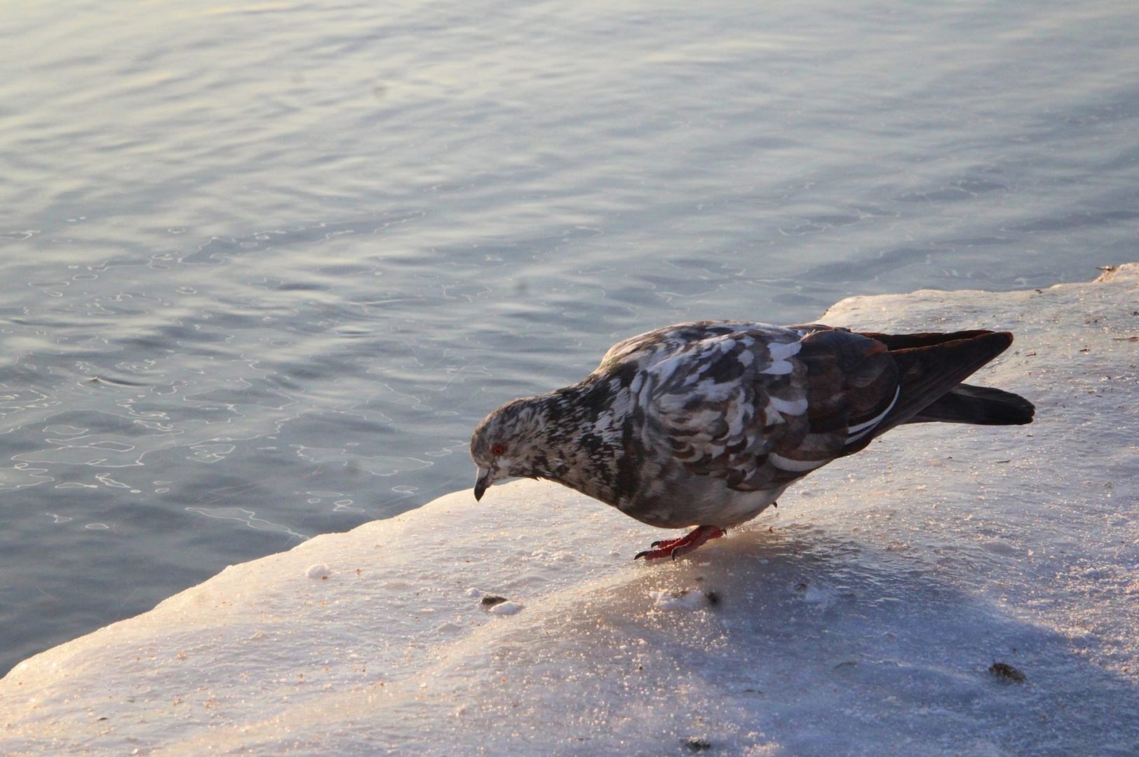 Холодное водоснабжение отключат в Падуне 17 марта