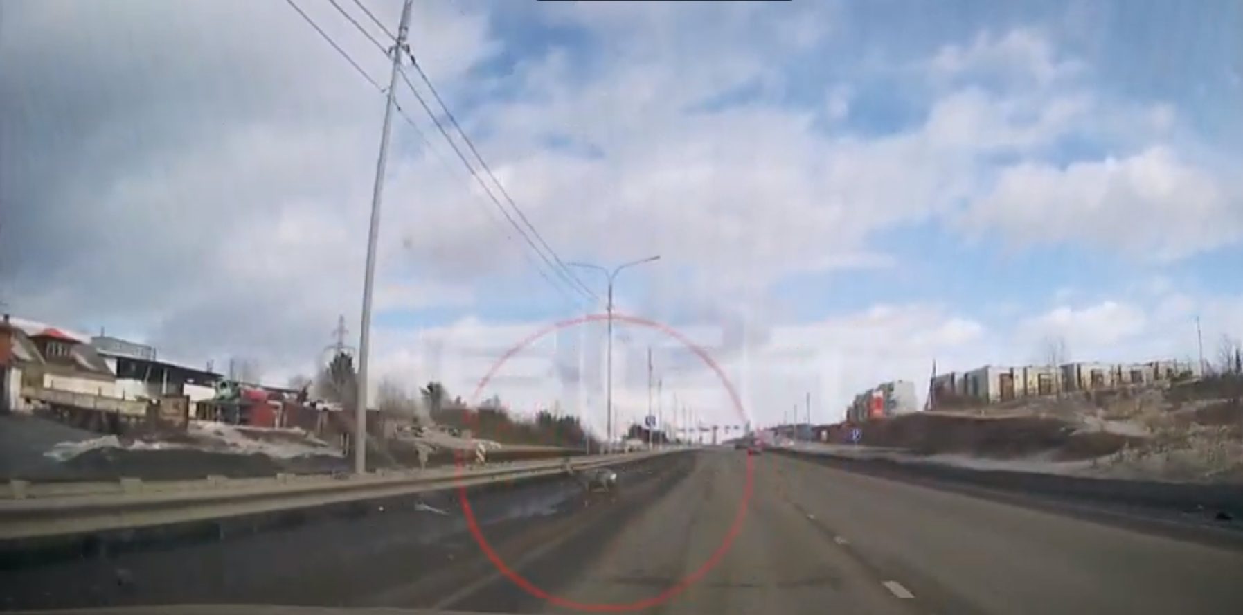 Косулю, сделавшую сальто на трассе "Вилюй", спасли в Братске