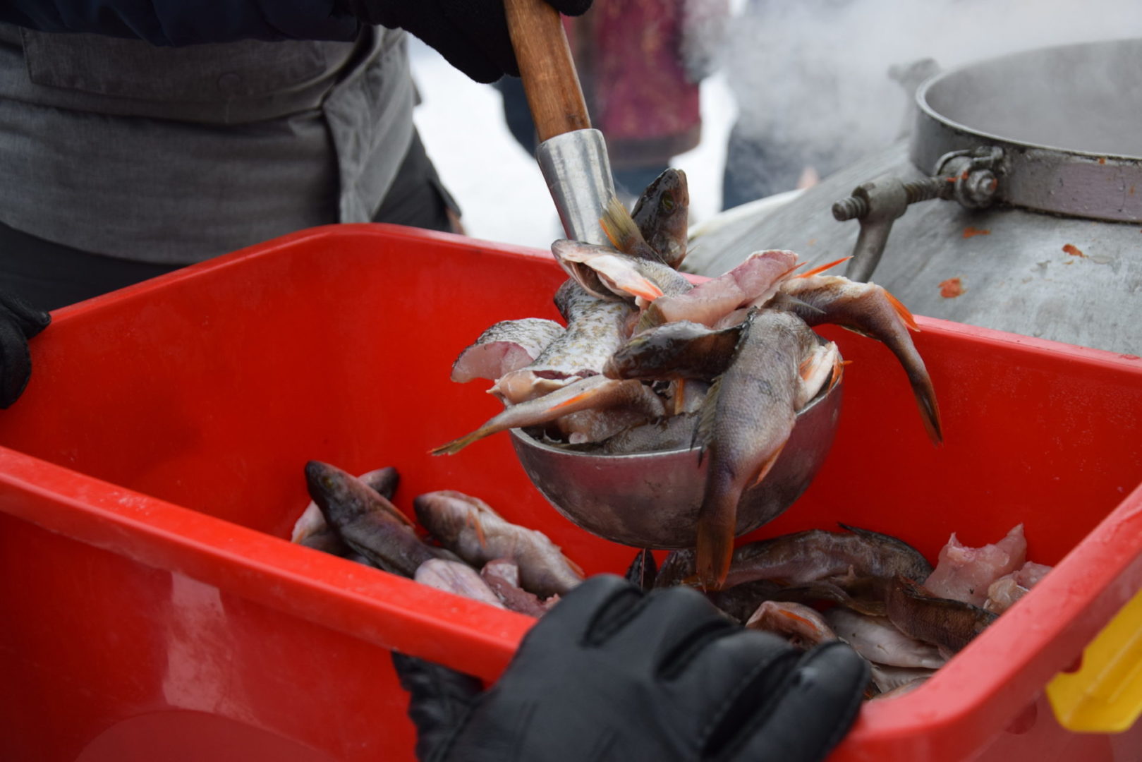 Почти 19 килограммов рыбы поймали на "Братской рыбалке"