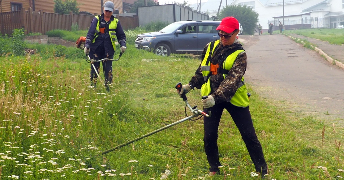 Почти 2,5 миллиона рублей выделили из городского бюджета на выкашивание травы в Братске