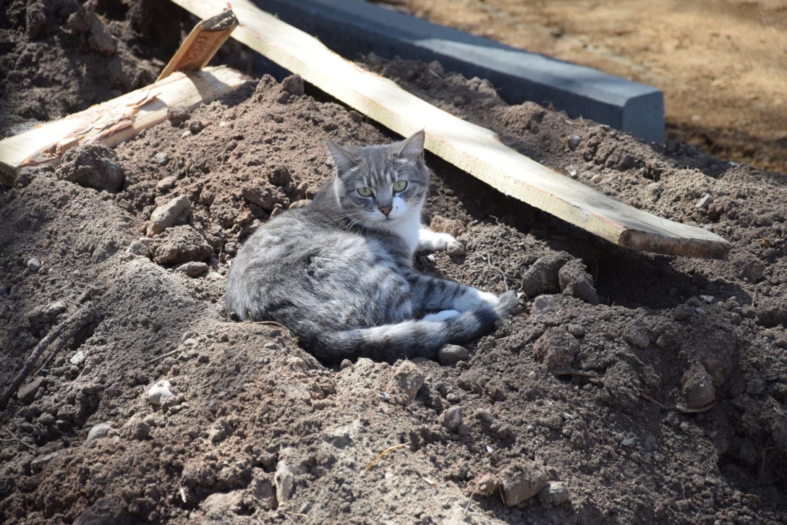 Крупную территорию в Правобережном районе Братска благоустроят к 1 сентября