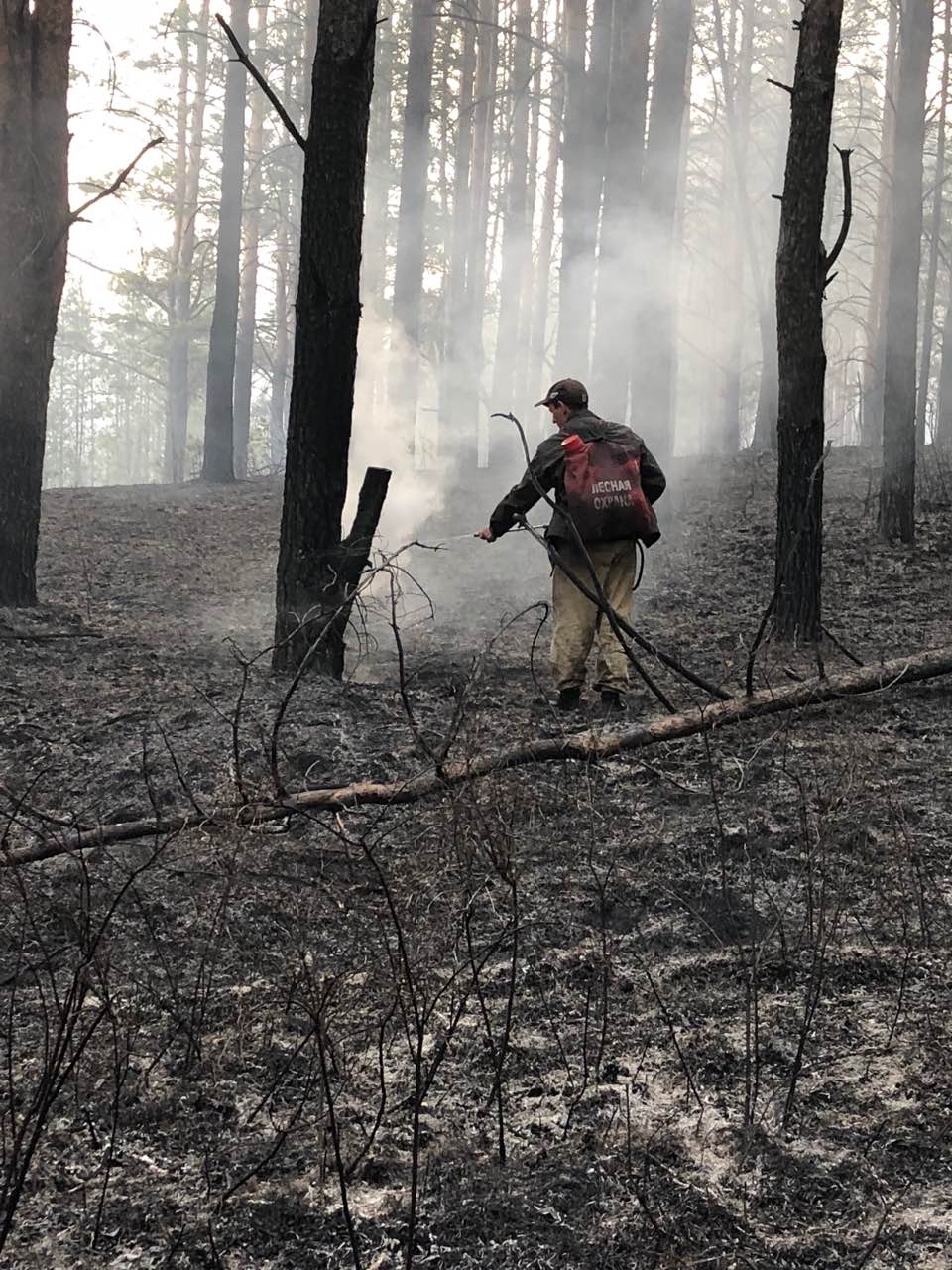 Три лесных пожара в Братском районе и один в Тайшетском потушили за минувшие сутки