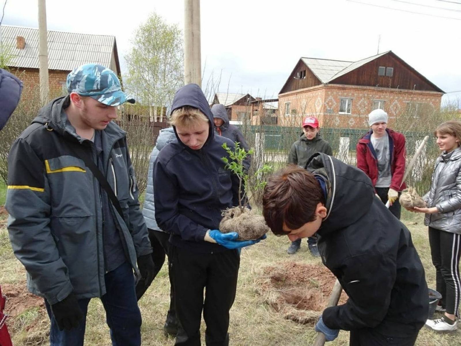250 саженцев сирени высадили в Вихоревке