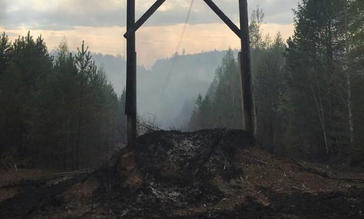 Режим повышенной готовности ввели в Братском районе из-за пятого класса пожароопасности