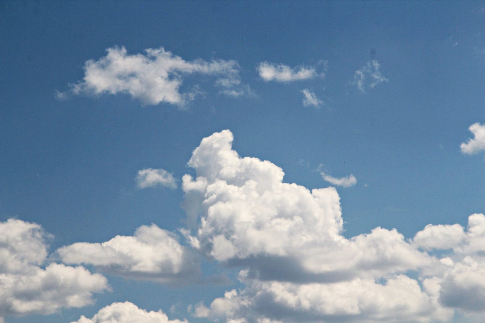 До +24 градусов тепла ожидается в Братске на выходных