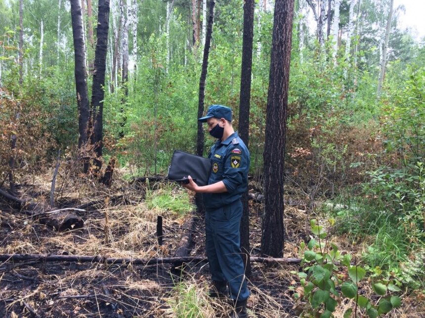 Высокая и чрезвычайная пожароопасность лесов ожидается в 19 районах Иркутской области