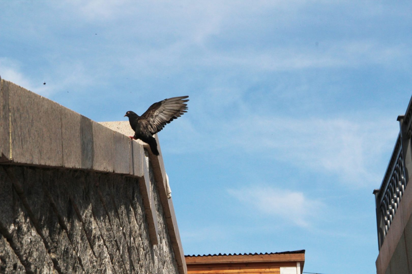 До 20 градусов тепла ожидается в Братске 25 августа