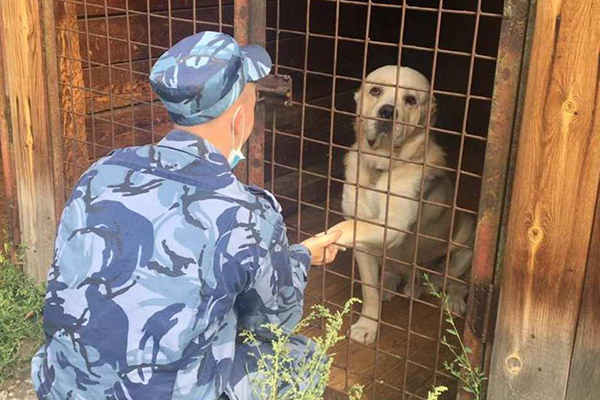 Приюту "Гранд Мухтар" в Братске передали корм и помогли убрать вольеры